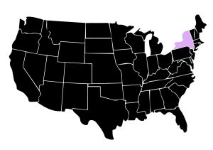 Map Displaying Location of Kepler Home Window Tinters in Jamestown, New York with Purple Highlight on the State