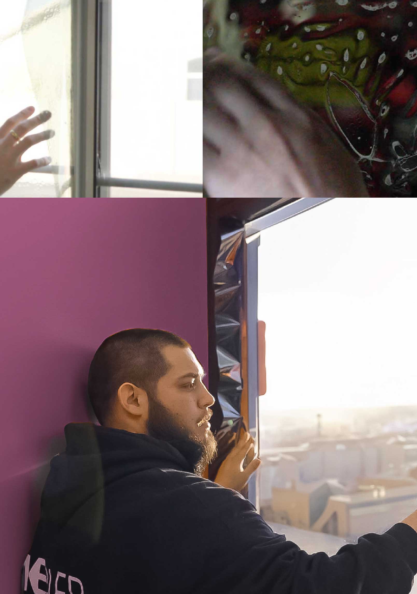 Kepler Specialist Installing Security Window Film in Birmingham Michigan