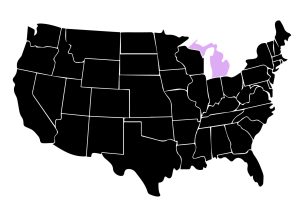 Map Showing Location of Kepler Home Window Tinters in Livonia, Michigan with Purple Area on the State